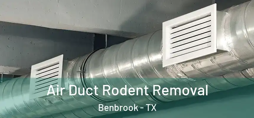  Air Duct Rodent Removal Benbrook - TX