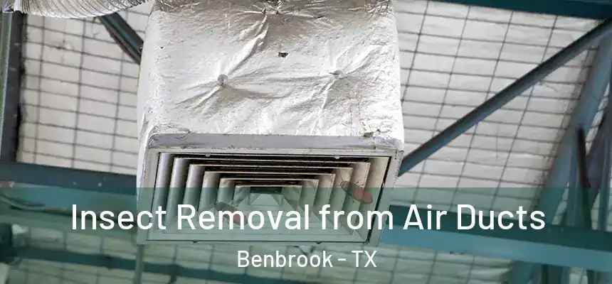  Insect Removal from Air Ducts Benbrook - TX